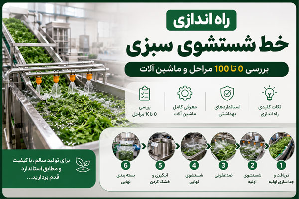 بررسی مراحل خط شستشوی سبزی